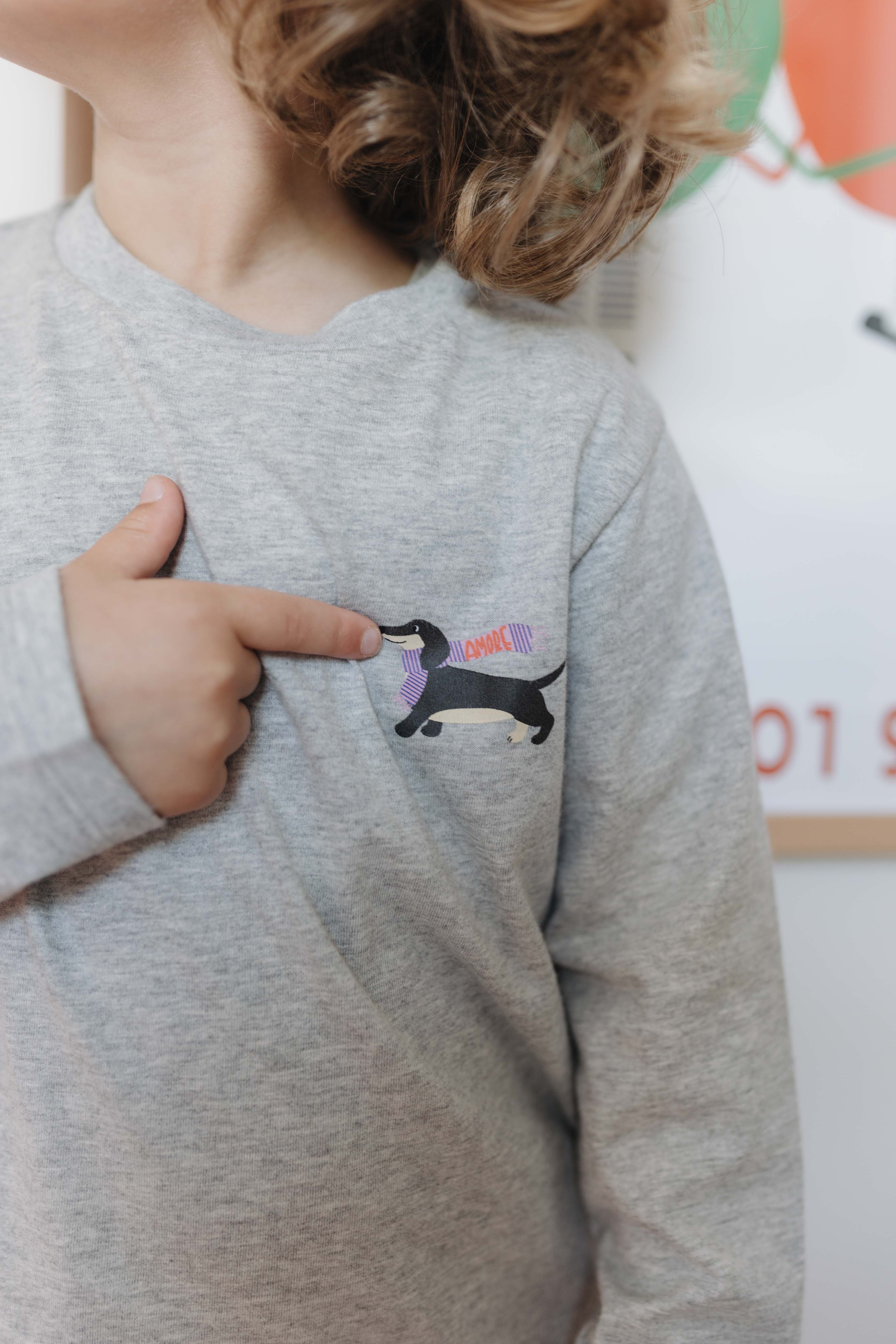 Longsleeve DACKEL grey