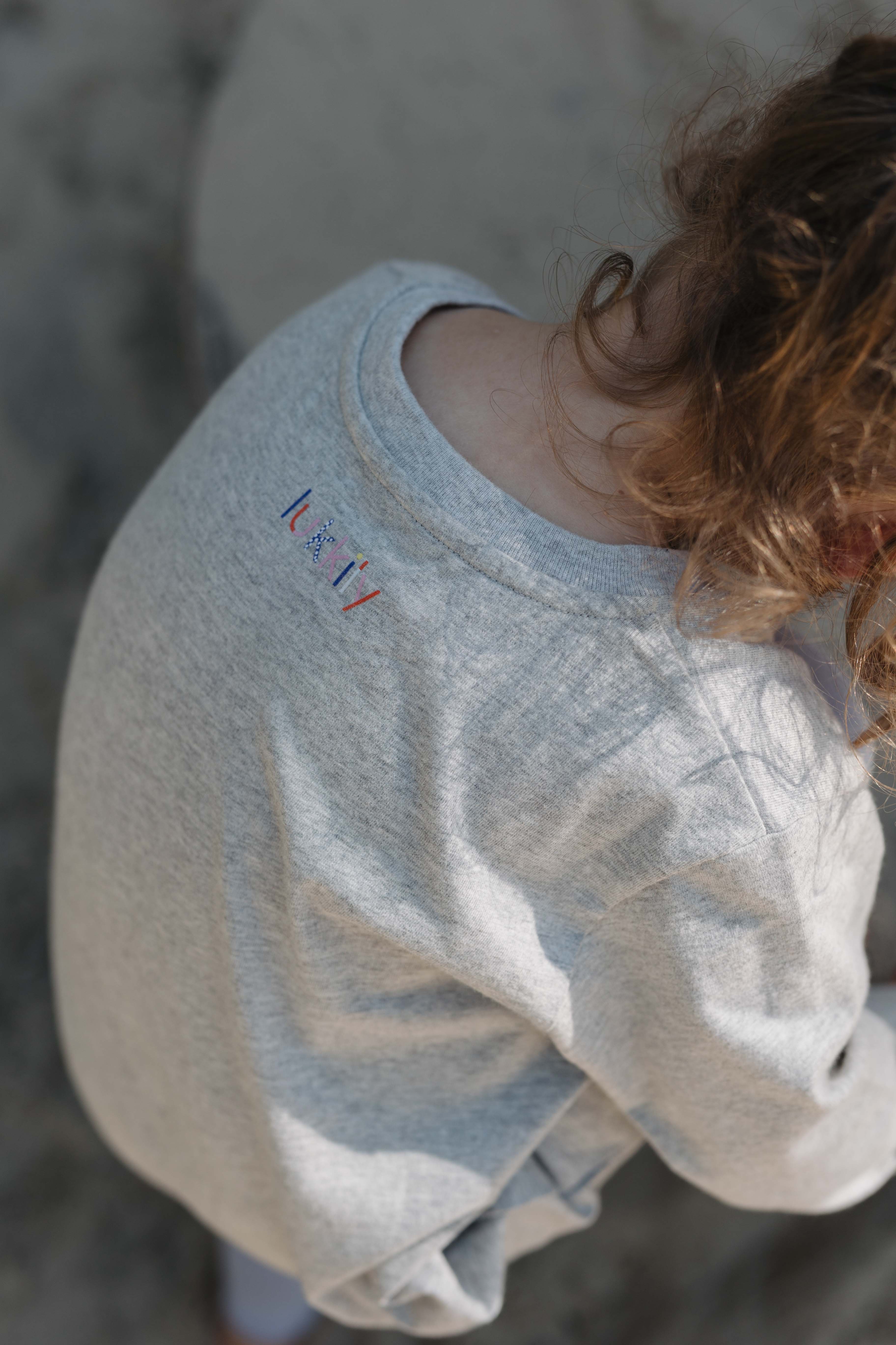 Longsleeve TRICERATOPS grey
