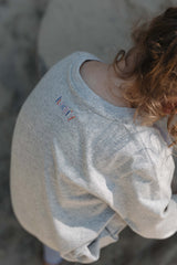 Longsleeve TRICERATOPS grey