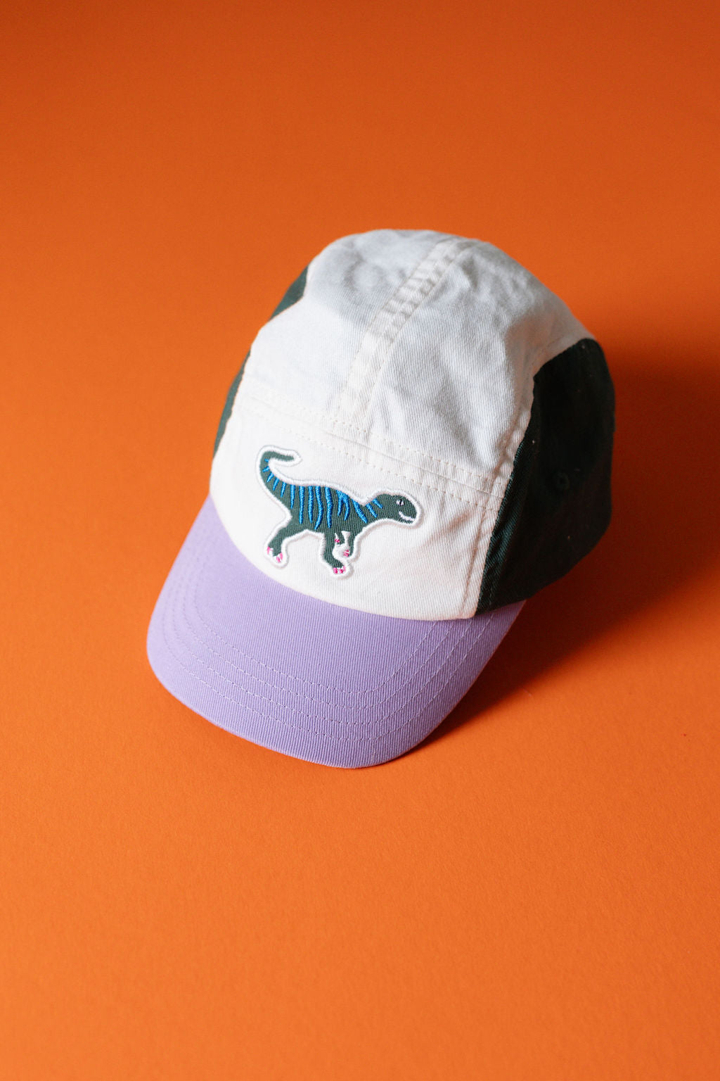 Cap DINO